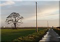 Washinghall Lane towards Pademoor