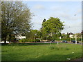 Looking across the verge to the A48 into Chepstow