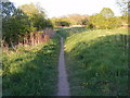 Footpath leading to Hetton Bogs