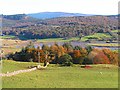 Autumn Colours - North Glen Wood