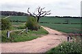 Farm track to the corn fields