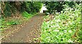 Breens Lane, Downpatrick