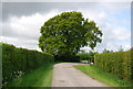 Track to Moated House Farm