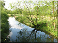 The River Bure