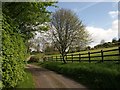 Farm road, Lower Elsford