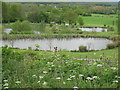 Stone Hill Farm Ponds