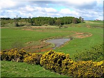 NS8634 : Douglas Water Flood Plain by Mary and Angus Hogg