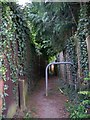 The Public Footpath near Hazelshaw Farm