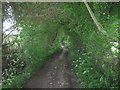 Bridleway from Elvey Farm