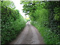 Byway to Little Pipers Wood