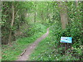 Footpath in Mereworth Wood