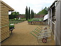 Downderry Lavender Nursery