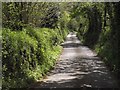 Lane to Moretonhampstead