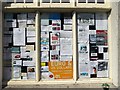 Window, Moretonhampstead post office