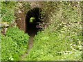 Kingston on Soar path under railway to Kegworth