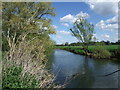 The Avon near Ryon Hill