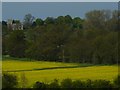 Rempstone Church From Hoton Hills