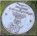 Plaque by tree in Birchwood Forest Park