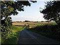 Down the hill to Whissendine Road August 2008