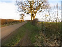 SK8302 : Holygate Road towards Ridlington by Andrew Tatlow