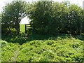 Ex church yard path away from East Leake