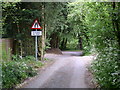 Lane to Cobbs Fen