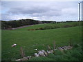 Farmland, Gilston near Polmont