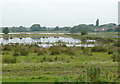 Radford Meadows near Stafford