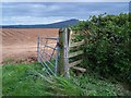 SO5380 : Footpath To Hopton Cangeford by Geoff Pick