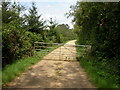 Hinton Park, gate