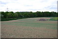 A Large ploughed field north of Rowfold Grange (3)