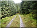 NS0687 : Forest track in Gleann Laoigh by John Ferguson