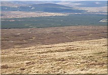 NN4649 : Northwest slopes of Meall nan Aighean by Richard Webb