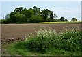 Fields south of Thrandeston