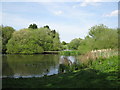 Footbridge over Pikes Pool