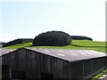 Lochdougan Dairy Shed with Wee Wood