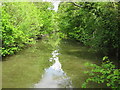 River Medway from Lucifer Bridge (1)