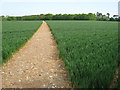 Footpath to Rose Wood