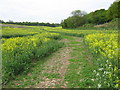 Footpath towards Wyebanks