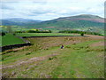 Bridleway to Sugarloaf  (Y Fal) 5