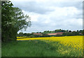 Shropshire fields near Chesterton