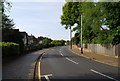 Bend in the road, Culverden Park