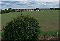 View towards Newbold Verdon