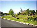 Gardens at the side of Dunlin Drive