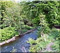 River Goyt