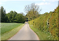 Hunningham House driveway