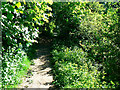 Footpath to the south-west, Churchdown Hill