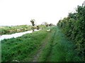 N9931 : Grand Canal near Hazelhatch, Co. Dublin by JP