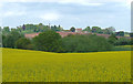 Farmland near Kingslow, Shropshire