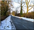 Rotherby Lane towards Frisby